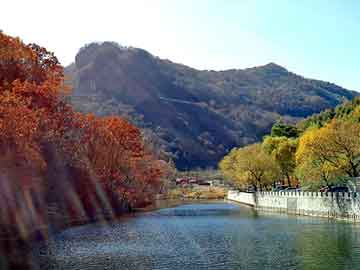 淡紫拟青霉菌，手动注油器